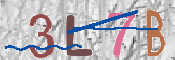 CAPTCHA-Bild